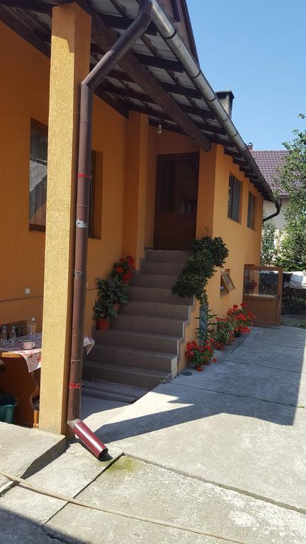 Pensiunea Popan Şieu Dış mekan fotoğraf